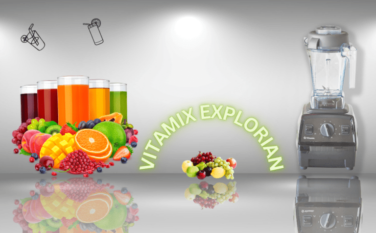 vitamix explorian E310
